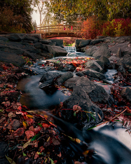 Wall Art - Views of Autumn